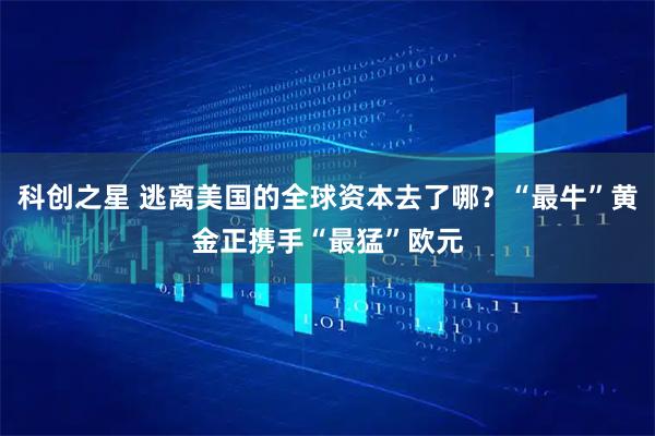 科创之星 逃离美国的全球资本去了哪？“最牛”黄金正携手“最猛”欧元
