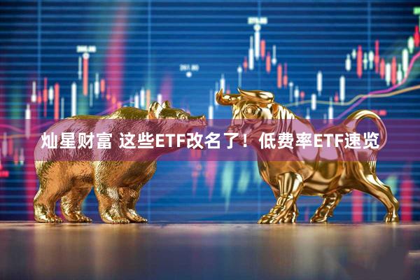 灿星财富 这些ETF改名了！低费率ETF速览