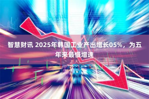 智慧财讯 2025年韩国工业产出增长05%，为五年来最慢增速