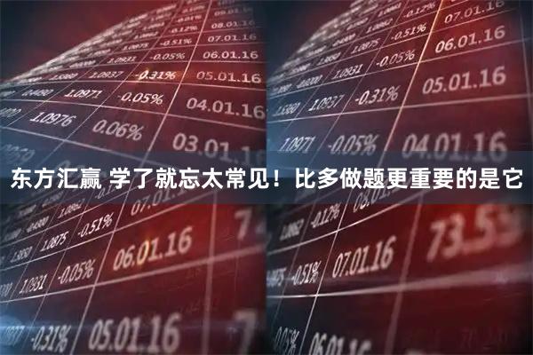东方汇赢 学了就忘太常见！比多做题更重要的是它
