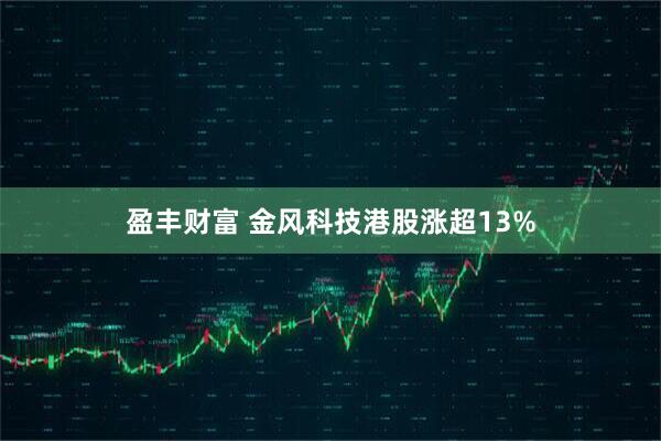 盈丰财富 金风科技港股涨超13%