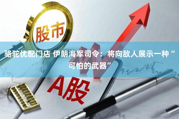 骆驼优配门店 伊朗海军司令：将向敌人展示一种“可怕的武器”